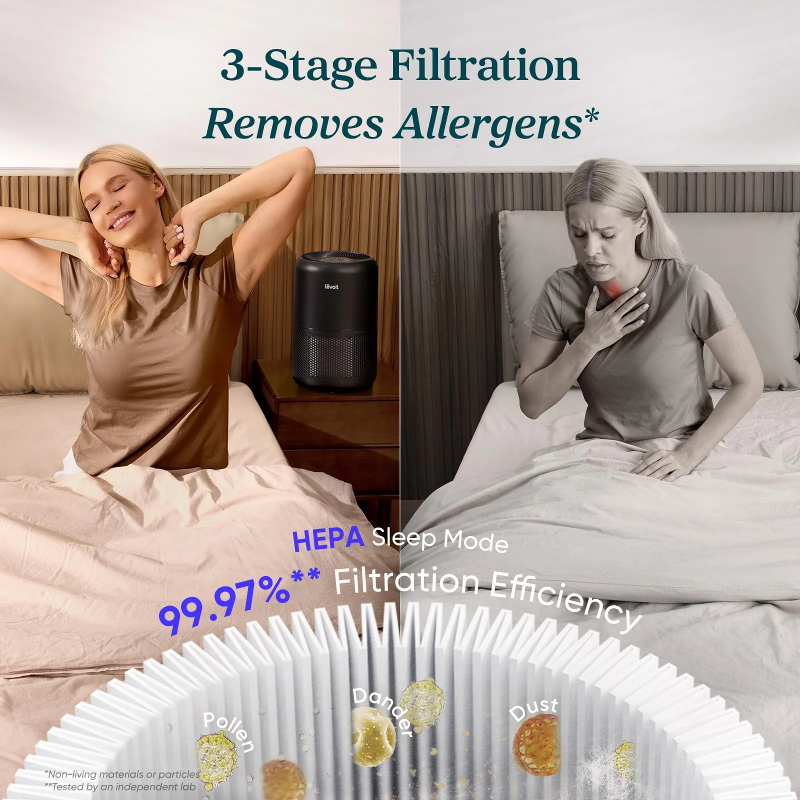 Air Purifier for Home, Compact Air Cleaner for Allergens, Dust, Pet Hair and Pet Dander - Image 3