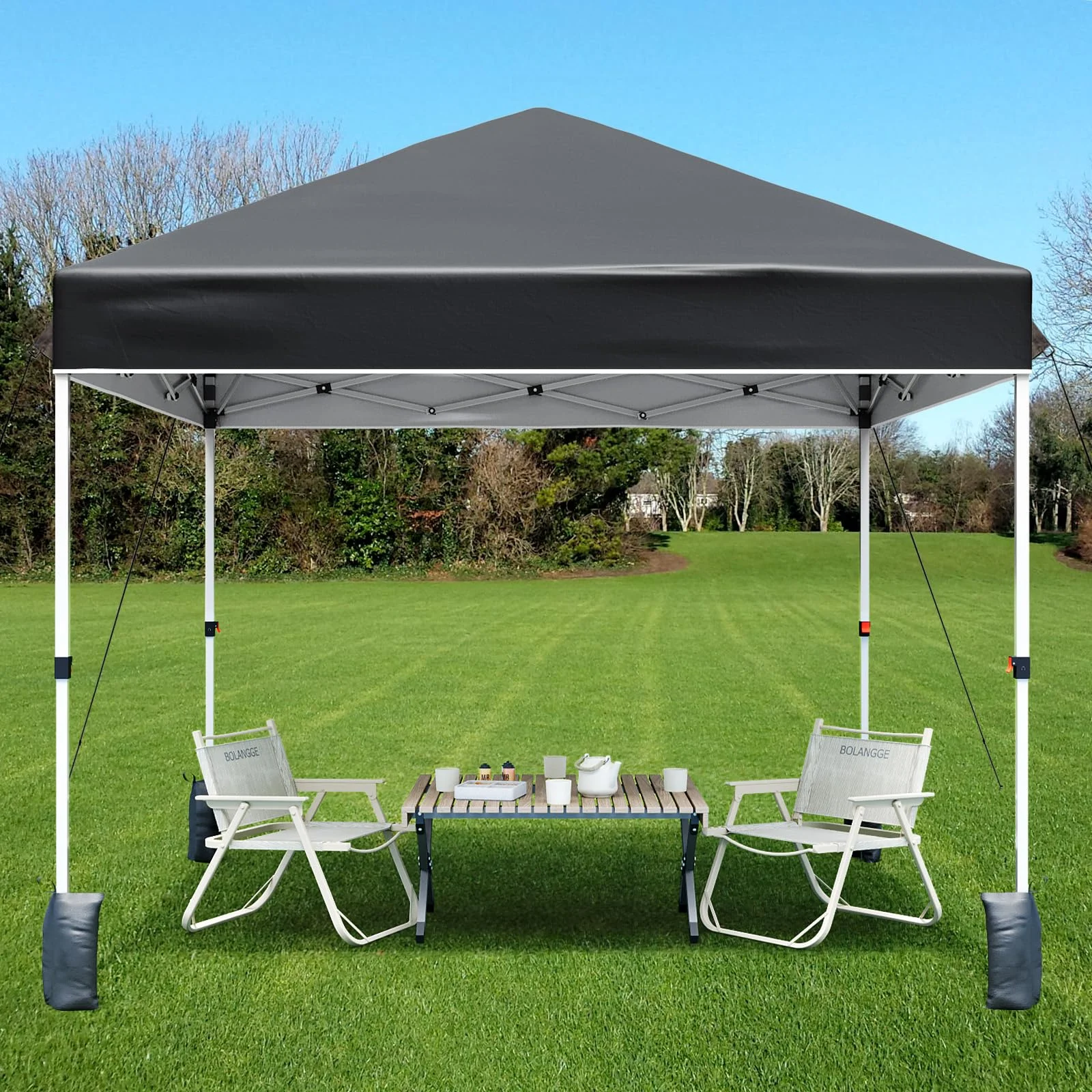 Luku 10x10ft Instant Pop-Up Canopy Tent with Patented Center Lock System, Portable Wheeled Carry Bag, Adjustable Height Straight Legs for Outdoor, Garden, Market, Patio, Yard - Image 19