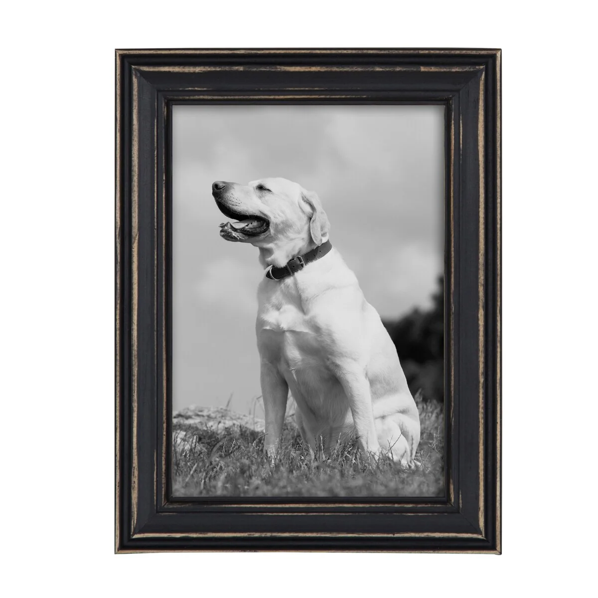 10-Piece Wood Gallery Wall Picture Frame Set, Decorative Photo Display Frames for Living Room, Bedroom and Home Decor - Image 49