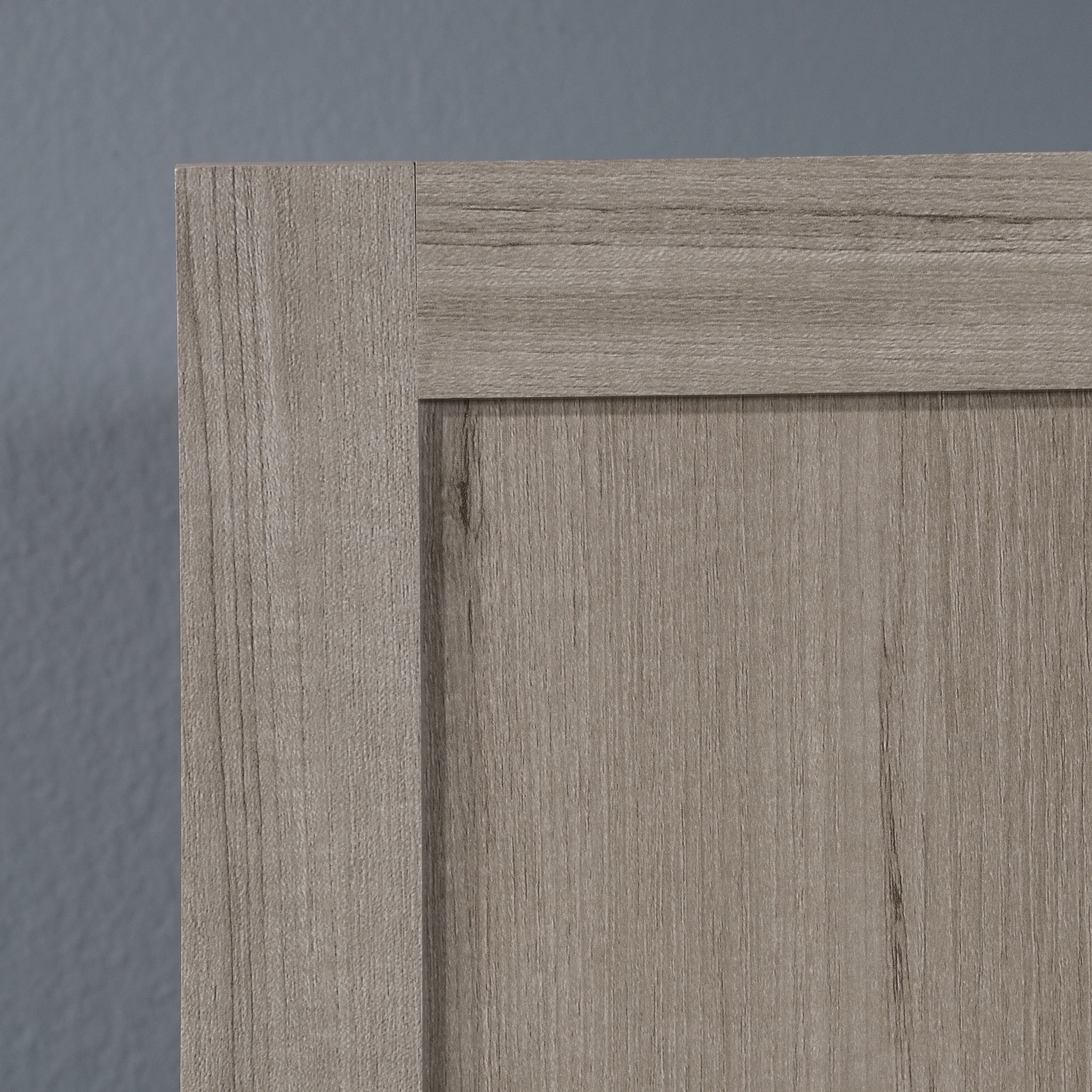 Sauder Select 2 Door Storage Cabinet, Reclaimed Pine Finish - Image 18