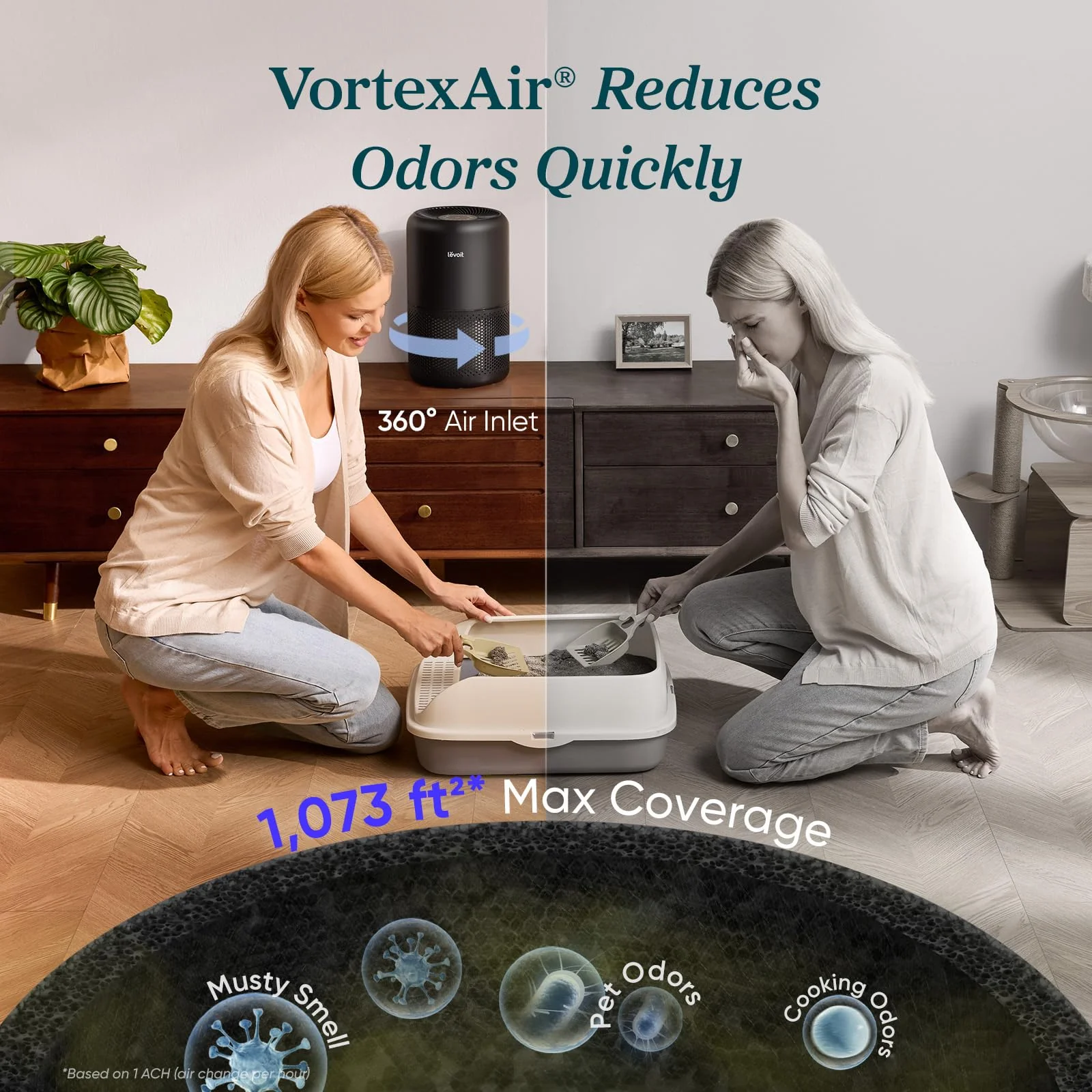 Air Purifier for Home, Compact Air Cleaner for Allergens, Dust, Pet Hair and Pet Dander - Image 4